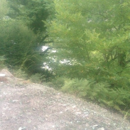 ΚΑΤΕΒΑΙΝΟΝΤΑΣ ΣΤΟ ΠΟΤΑΜΙ